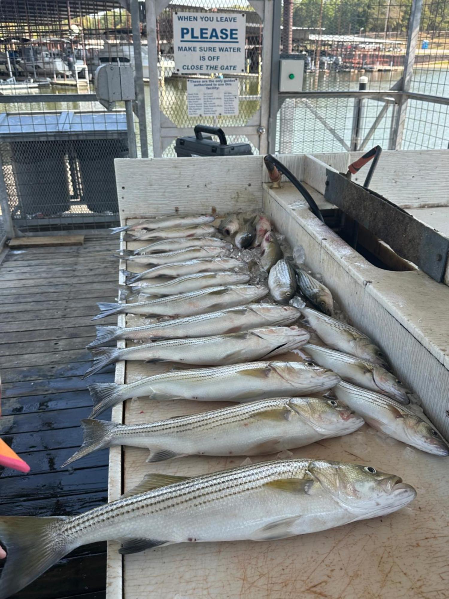 Kingston A Shore Thing-Beach-Fishing-Fire Pit-Relax-Pets מראה חיצוני תמונה